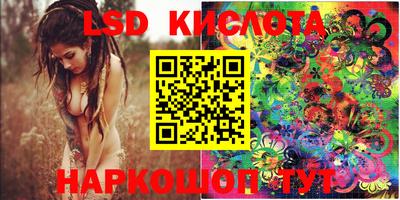 амф Бийск